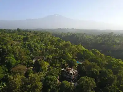 Aishi Machame - 18