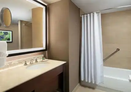 Sheraton Dallas - 8