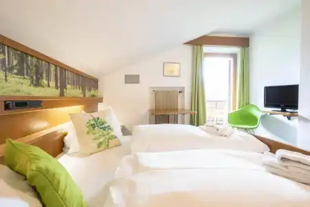 Guesthouse Pension Grafenstein - 38