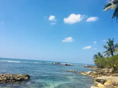 Polhena Sea View - 14