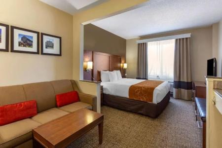 Comfort Suites Raleigh Walnut Creek - 58