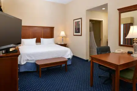 Hampton Inn & Suites Fredericksburg South - 17