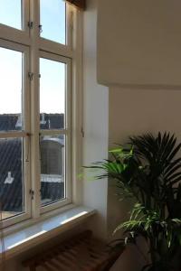 Babette Guldsmeden - 35