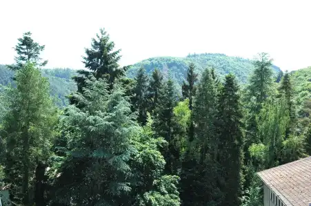 Engel im Salinental - 18