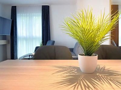 Holi City Apart Berlin - 47