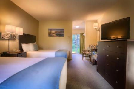 Sun & Ski Inn And Suites - 78