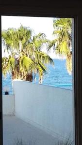 Amalia Apartments - 18