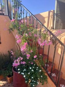 Riad Tachchaqa - 46
