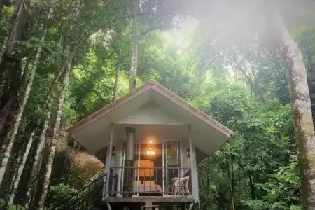 Rock And Treehouse Resort - 14