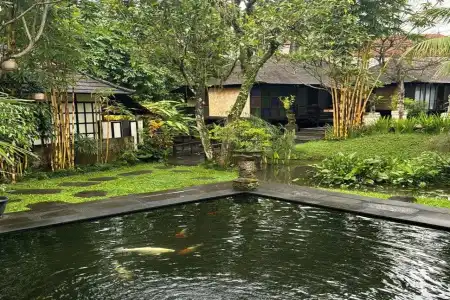 Ubud Sari Health Resort - 18