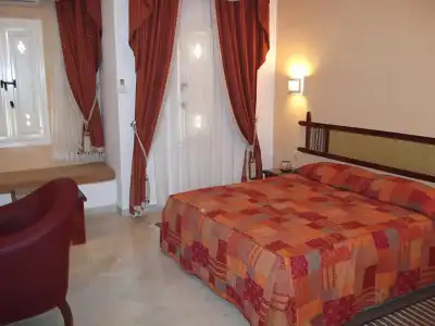 Sun Palm - 28