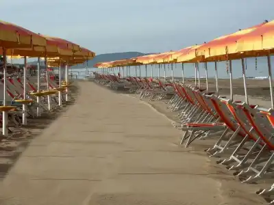 Il Delfino - 17