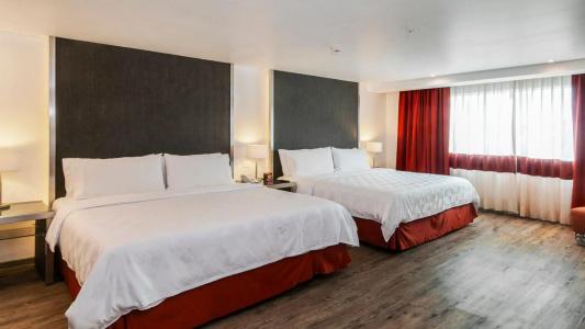 Holiday Inn Zona Centro by IHG - 29