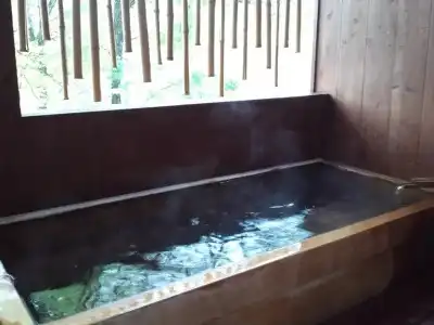 Ryokan Le Vent Vert Kokyo - 14