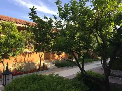 Ozlem Garden - All Inclusive - 43