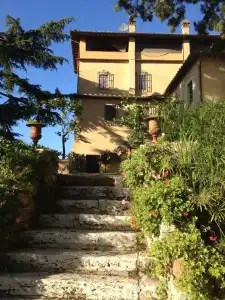 Torraccia di Chiusi Agriturismo Relais - 34