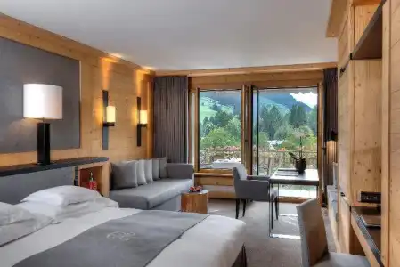 Park Gstaad - 35