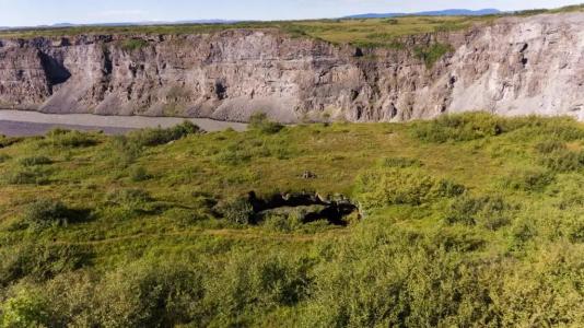 Dettifoss Guesthouse - 26