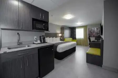 Hôtel & Suites le Dauphin Québec - 25