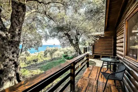 Holiday Park Olive Tree - 19