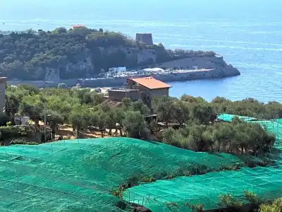 Dania - 64