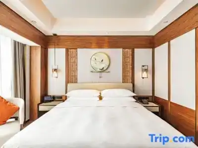Yidu Jinling Grand Yancheng - 44