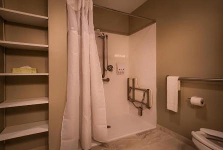 Sun & Ski Inn and Suites - 79