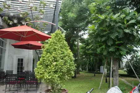 L Odeon Phu My Hung - 17