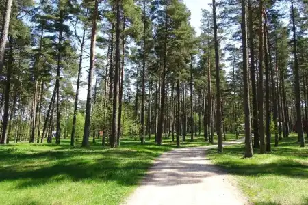Ventspils Seaside Camping - 27
