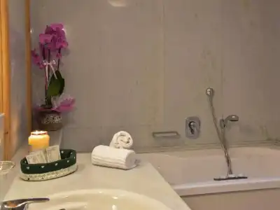 Residence Salvan - 56
