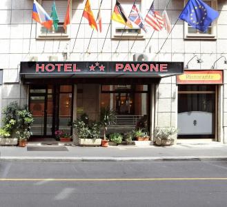 Pavone - 24