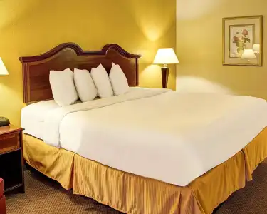 Quality Inn North - 20