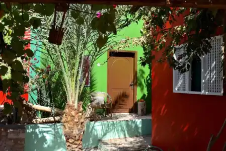 Bedouin Garden Village, Dive - 56