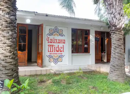 Midel - 0