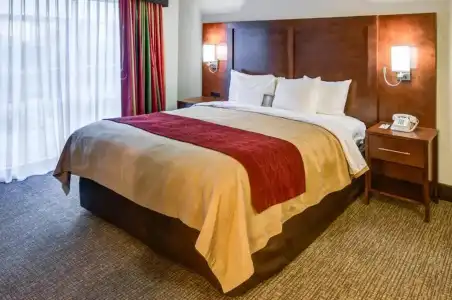 Comfort Inn Redding Near I-5 - 32