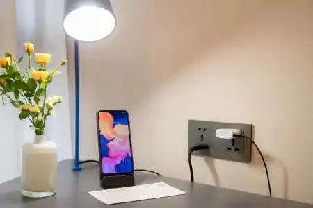 Triple Y - 80