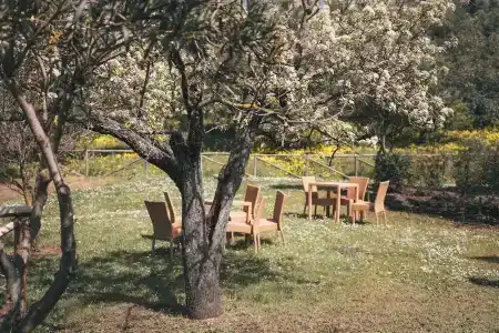 agriturismo i moresani - 11