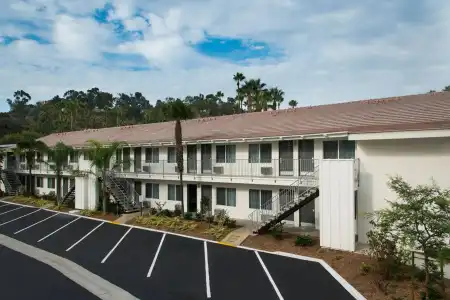 Iris - San Diego - 7