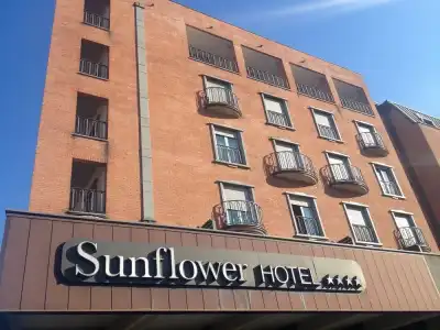 Sunflower - 0