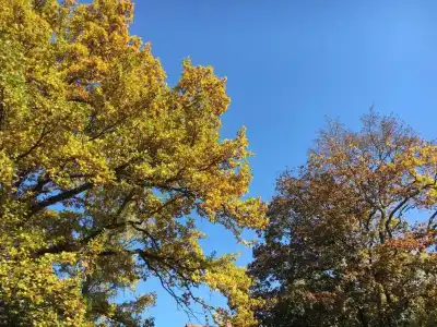 Das Kleine Weimar - 19
