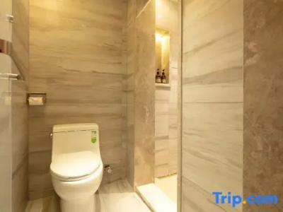 Hôtel Ibis Toulouse Purpan - 75