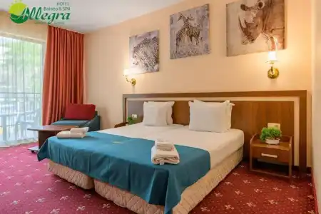 Allegra Balneo & SPA - 75