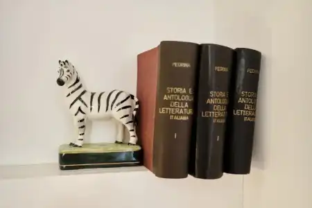 Zebra - 33