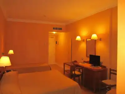 Conchiglia D'oro - 40