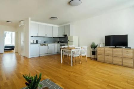 Business & Family Ambiente Apartments - 267