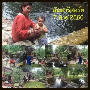 Lundaresort & Orchid - 15