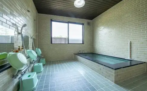 Yamanakako Ryokan RYOZAN - 14