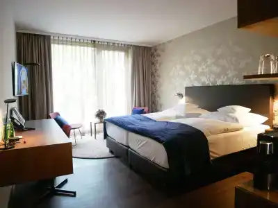 Best Western Premier Rebstock - 65
