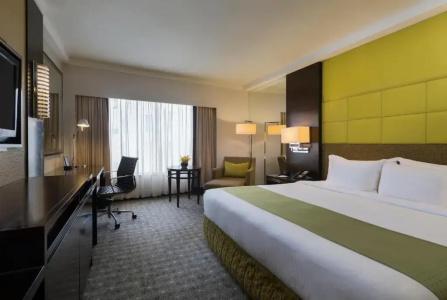 Holiday Inn Singapore Orchard City Centre by IHG - 58