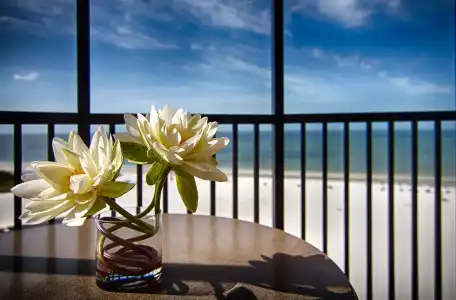 Pointe Estero Beach Resort - 9